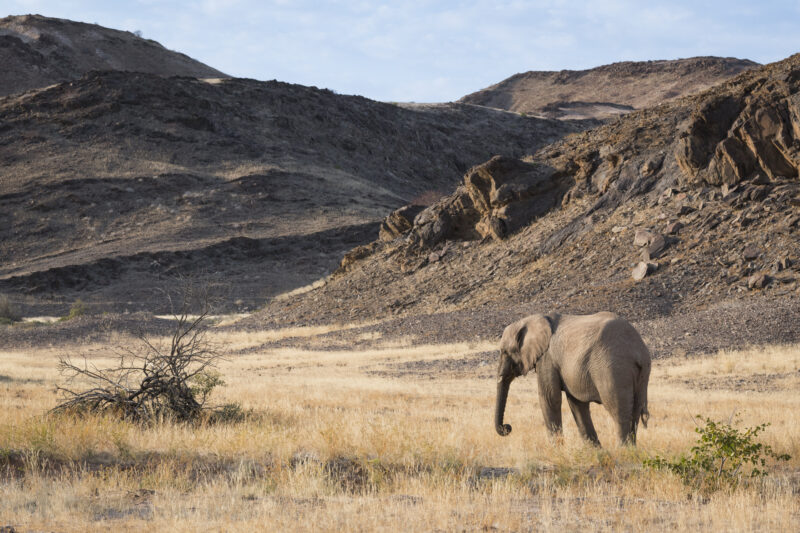 Travel Namibie 230 2