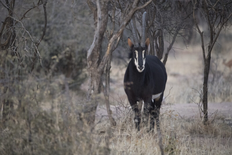 Travel Namibie 393