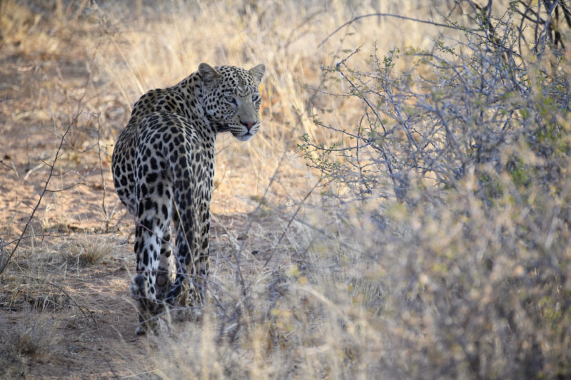 Travel Namibie 391